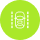 机动车道