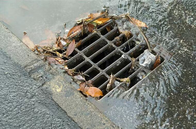 正在上传... Clogged rainwater harvesting system pre-filter filled with leaves and sediment requiring maintenance