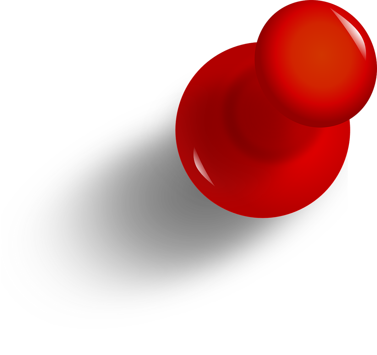 seal