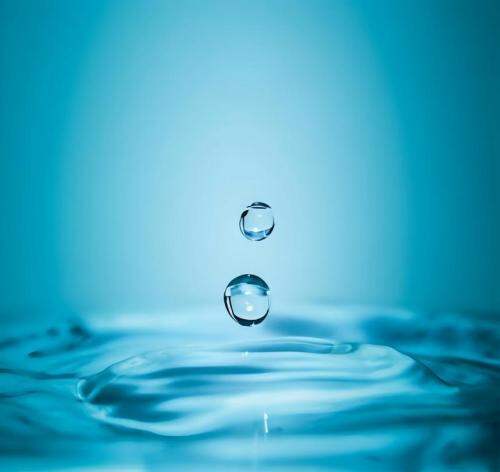Rainwater Filtration System Guide: Types, Selection, and Maintenance