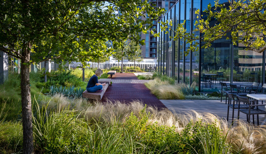 Modern commercial building architecture featuring sustainable green roofing and eco-friendly landscape design, representing urban rainwater recycling and green building value