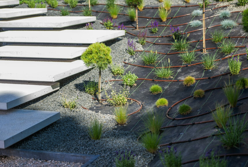 Desenho paisagístico comercial ou de parque moderno com rede de rega gota-a-gota para plantações verdes em cenário real Desenho paisagístico comercial ou de parque moderno com rede de rega gota-a-gota para plantações verdes em cenário real
